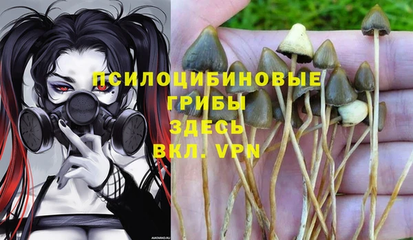не бодяженный Лиски