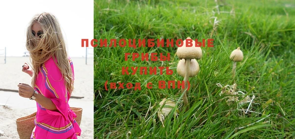ГАЛЛЮЦИНОГЕННЫЕ ГРИБЫ Липки