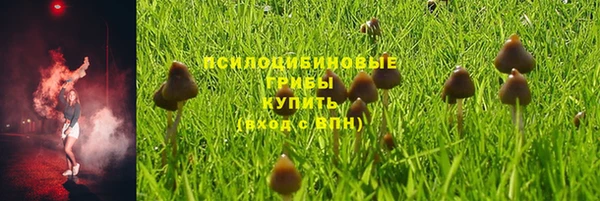 амф Лихославль