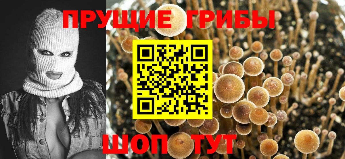 Галлюциногенные грибы MAGIC MUSHROOMS  Галлюциногенные грибы GOLDEN TEACHER  Вход с VPN  Лабытнанги 