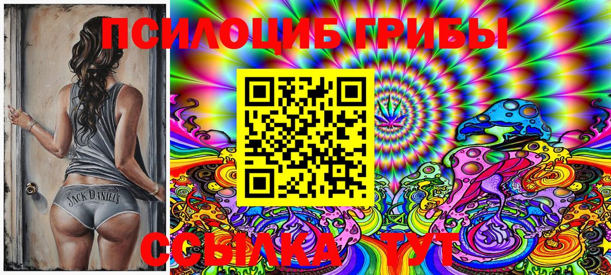 Псилоцибиновые грибы Cubensis Лабытнанги