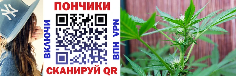 Канабис Amnesia  закладки  Лабытнанги 